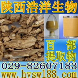 天然百部提取物 植物提取物供應商的優質選擇