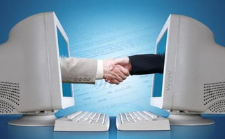 德國農(nóng)產(chǎn)品電子商務(wù) 信息化、專業(yè)化與全程化的發(fā)展藍(lán)圖